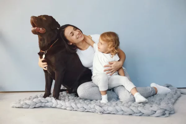 ¿Perros en lugar de hijos? La nueva tendencia que gana terreno