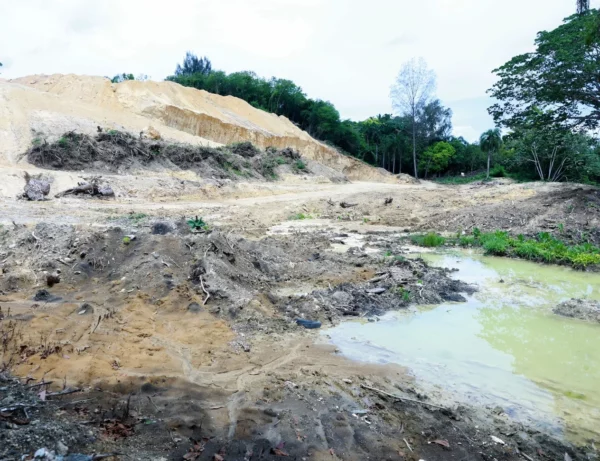 Residencial en área afectaría el Cinturón Verde violentando normas ambientales. Alberto Calvo