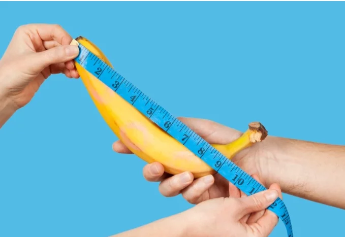 Tamaño del pene Tamaño del pene