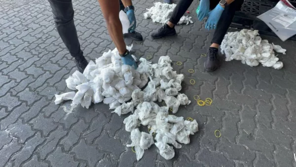 WhatsApp Image 2025-06-01 at 9.24.38 AM