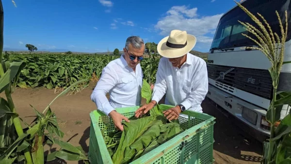 WhatsApp Image 2025-06-11 at 9.40.04 AM