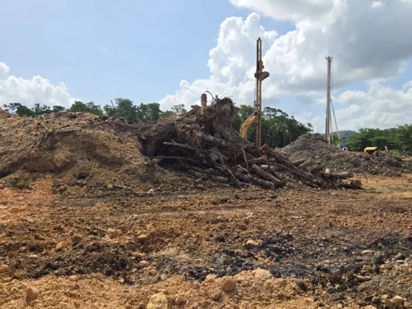 WhatsApp Image 2025-06-16 at 4.02.55 PM