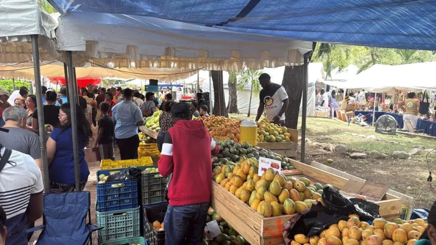 Expo Mango 2025 Expo Mango 2025
