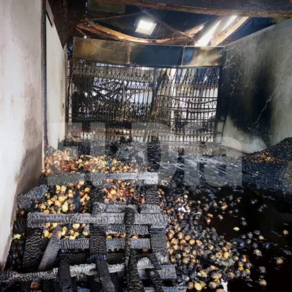 incendio-merca santo domingo-fuego-mercado