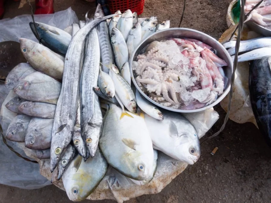 pescado pescado