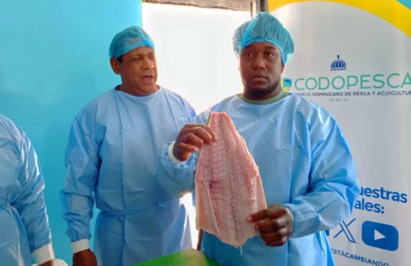 El proceso de limpieza para el empaque al vacío y posterior comercialización.  FUENTE EXTERNA