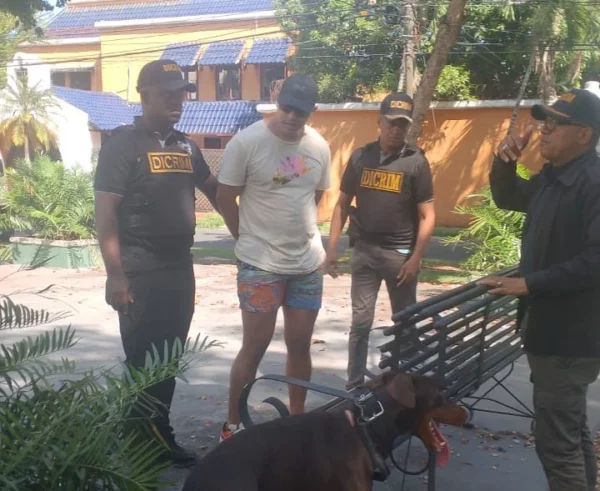 Arrestado por lanzar un perro del piso 11