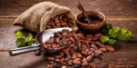 Día Mundial del Cacao, una fuente de producción agrícola de RD