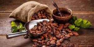 Día Mundial del Cacao, una fuente de producción agrícola de RD