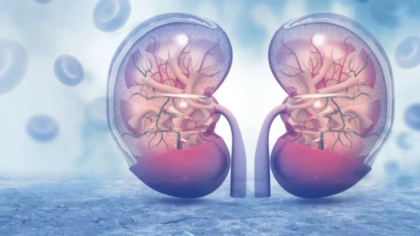 Cáncer renal