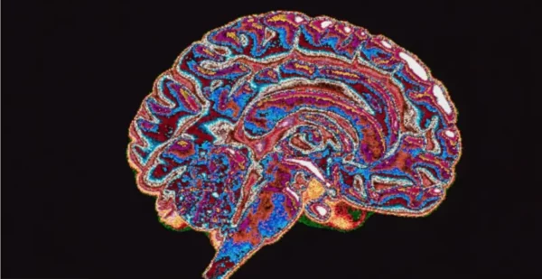 Captura de Pantalla 2025-07-06 a la(s) 8.39.28 p. m.