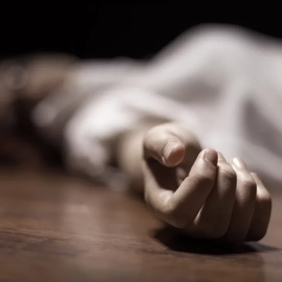 FEMINICIDIO FEMINICIDIO
