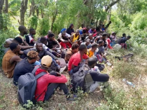 Haitianos indocumentados detenidos en operativo del Ejército en Valverde.