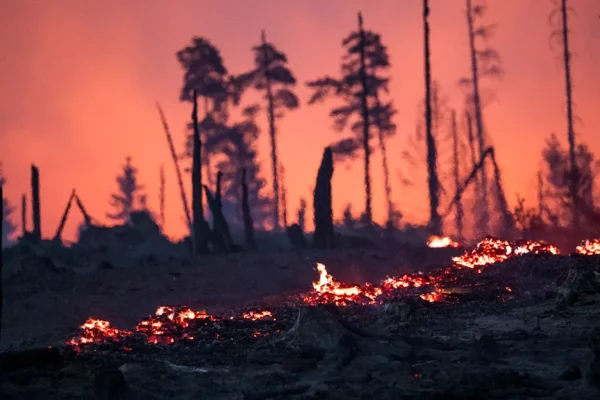 El incendio forestal en Saalfelder Höhe, en Reichmannsdorf, Alemania, el 2 de julio del 2025. (Daniel Vogl/dpa via AP)