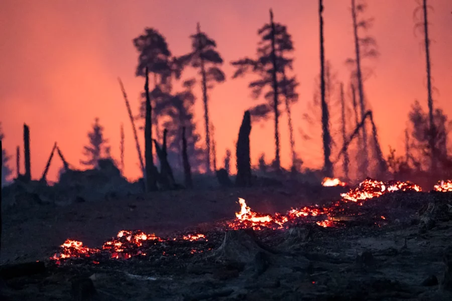 Incendio forestal en alemania