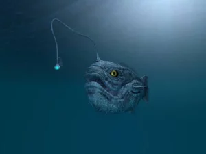 Peces linterna