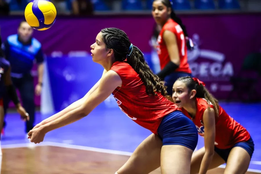 RD-ALONDRA LEVANTA BOLA RD-ALONDRA LEVANTA BOLA