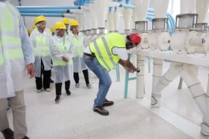 Molinos del Ozama impulsa crecimiento e innovación en la producción y exportación de harina