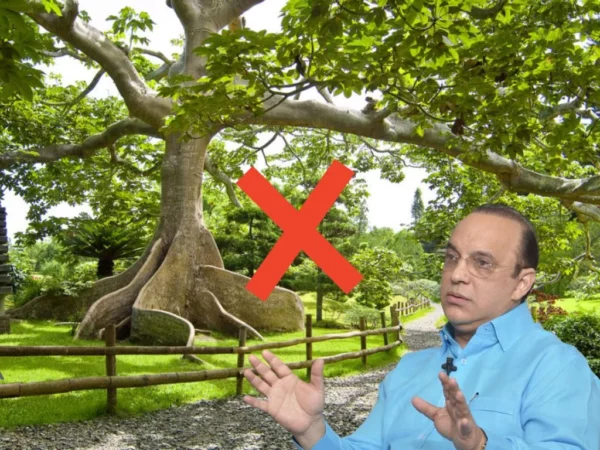 Partido Reformista critica intervención en el Jardín Botánico