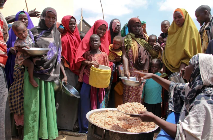 Solamies en busca de comida Solamies en busca de comida