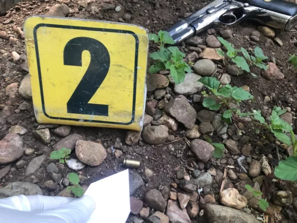 WhatsApp Image 2025-07-02 at 10.54.07 AM