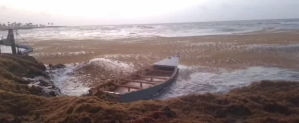 WhatsApp Image 2025-07-11 at 9.16.48 AM