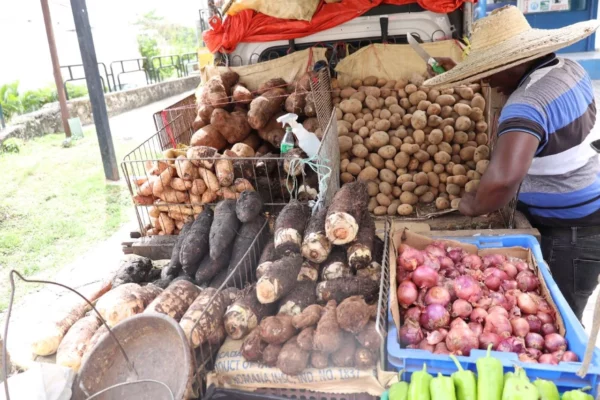 WhatsApp Image 2025-07-12 at 11.48.29 2