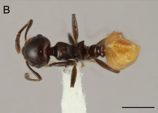 WhatsApp Image 2025-07-30 at 4.05.55 PM