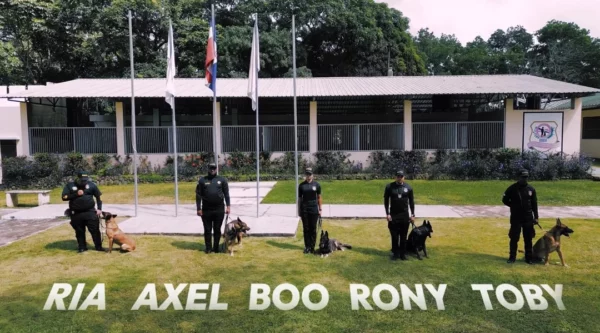 Perros de la unidad canina K-9 de la DNCD