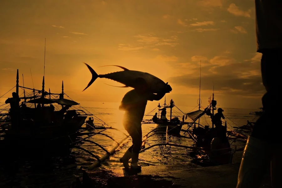 fish-6053958_1280 fish-6053958_1280