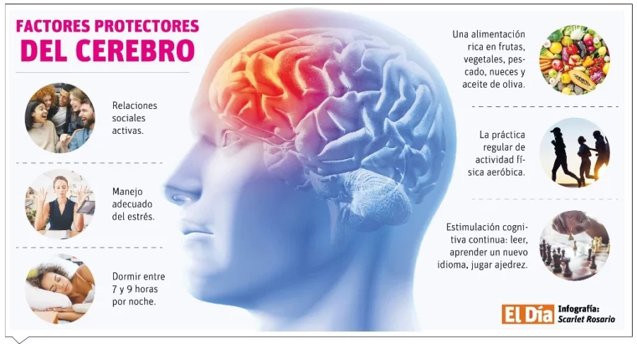 info-PROTECTORES info-PROTECTORES