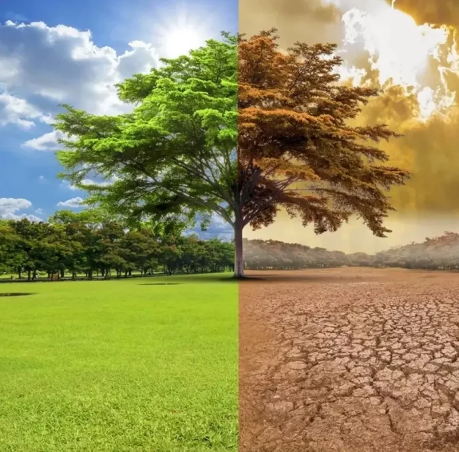 Guerras y cambio climático Guerras y cambio climático