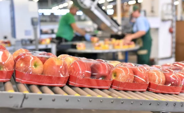 Estados Unidos es el principal mercado de los  productos de las zonas francas.