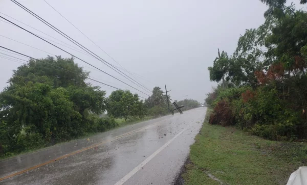 La compañía de electricidad trabaja para normalizar el servicio a la mayor brevedad.