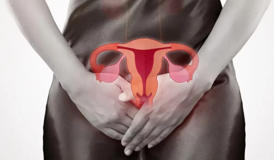 Realizar ejercicios de Kegel regularmente y mantener actividad física favorece la circulación y fortalece el piso pélvico. Realizar ejercicios de Kegel regularmente y mantener actividad física favorece la circulación y fortalece el piso pélvico.