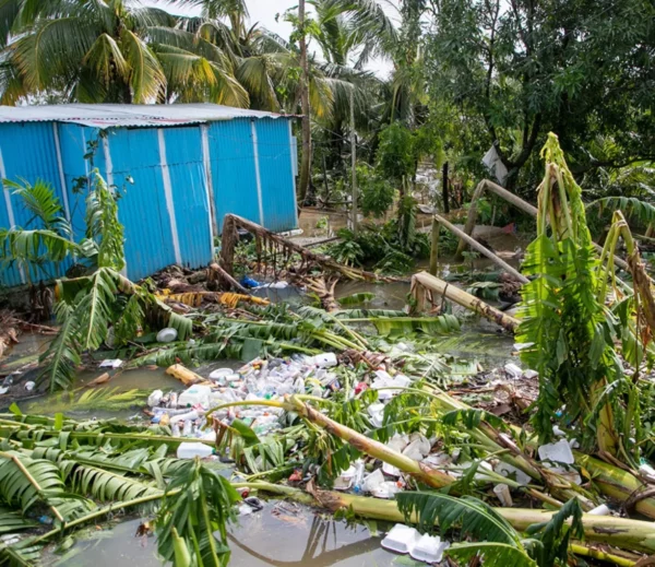 Impacto de  huracanes   no se limita a lo humano, igual afecta la agricultura.  AGENCIA FOTO