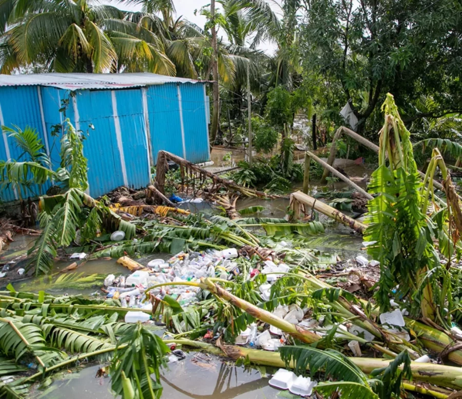 Impacto de huracanes no se limita a lo humano, igual afecta la agricultura. AGENCIA FOTO Impacto de huracanes no se limita a lo humano, igual afecta la agricultura. AGENCIA FOTO