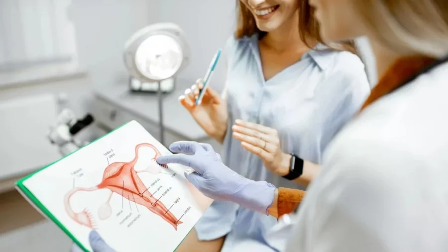 La ginecología puede y debe ser el primer punto de contacto médico confiable para muchas pacientes jóvenes. La ginecología puede y debe ser el primer punto de contacto médico confiable para muchas pacientes jóvenes.