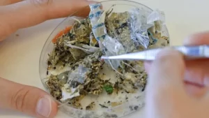 Microplásticos hallados en el Mar Mediterraneo. Los microplásticos son fragmentos de plástico menores de 5mm. Los nanoplásticos son aún menores e invisibles a simple vista.