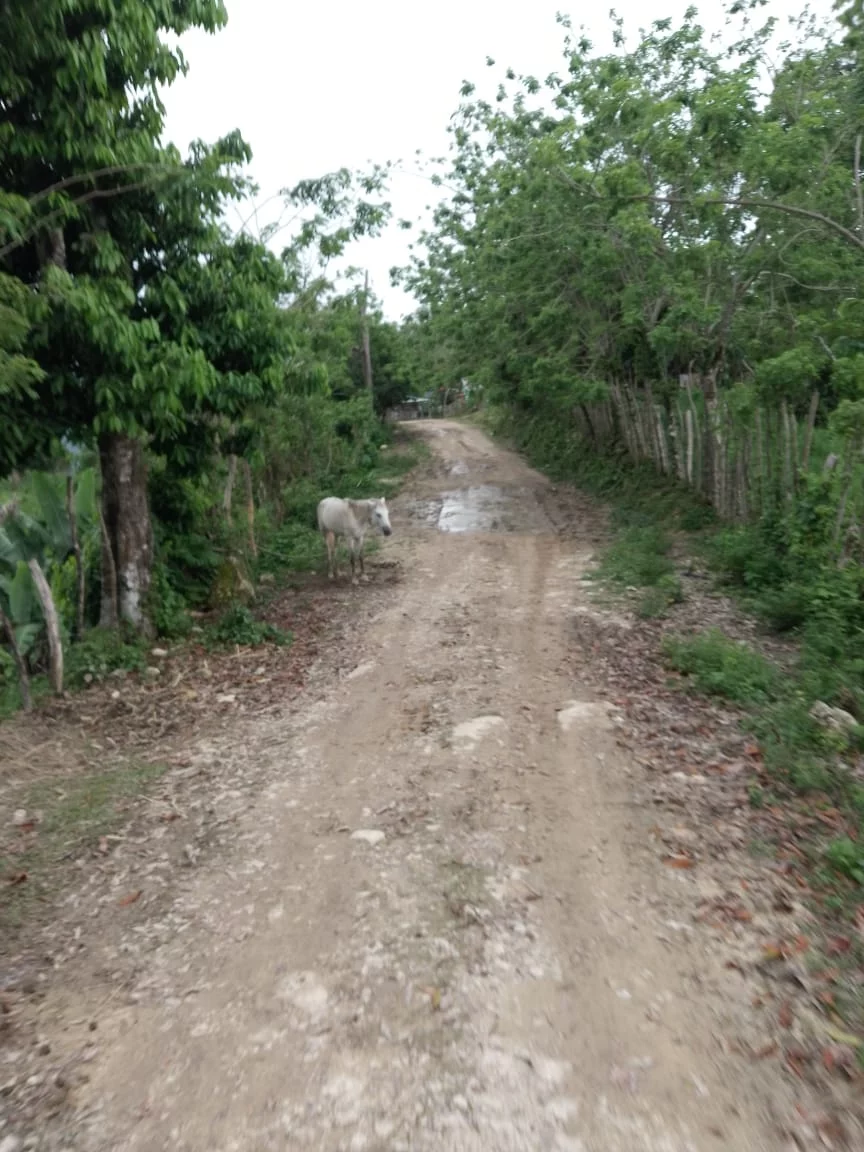 CARRETERA