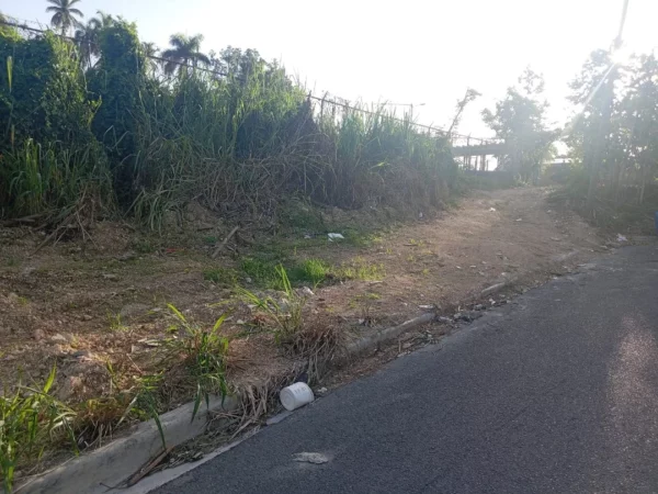 Residentes del residencial Colinas del Edén quieren que se detenga la construcción de una edificación en el área verde del sector