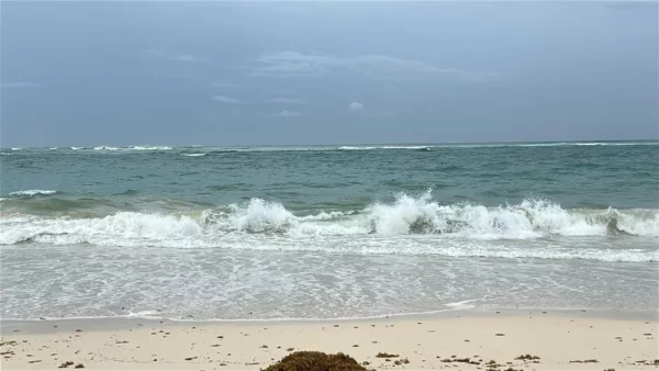 Así está el oleaje en Playa de Punta Cana por efectos indirectos del huracán Erin.