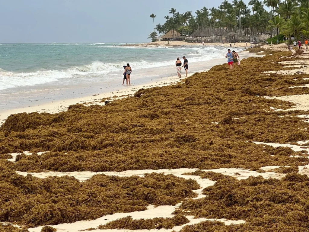 Además del elevado oleaje y el viento fuerte por el huracán Erin, en la zona turística imperaba la presencia del sargazo. 