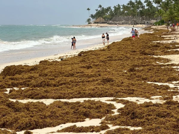 Además del elevado oleaje y el viento fuerte por el huracán Erin, en la zona turística imperaba la presencia del sargazo.