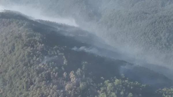 Parque Nacional Armando Bermúdez