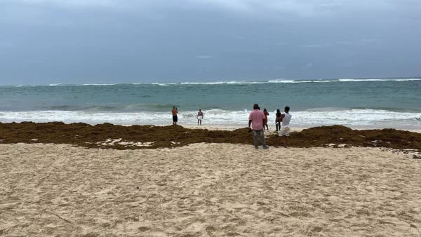 Personas viendo oleaje y tomándose fotos en la orilla de playa en el este del país, pese a que COE prohíbe acercarse a las costas por huracán Erin.