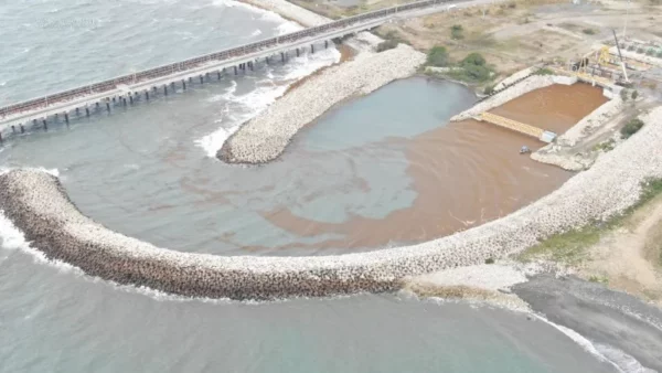 Sargazo, Punta Catalina