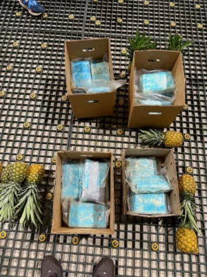 Piña -droga