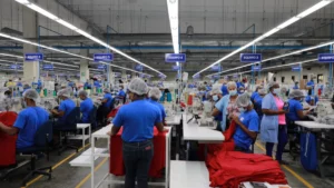 Trabajos de zona franca.
