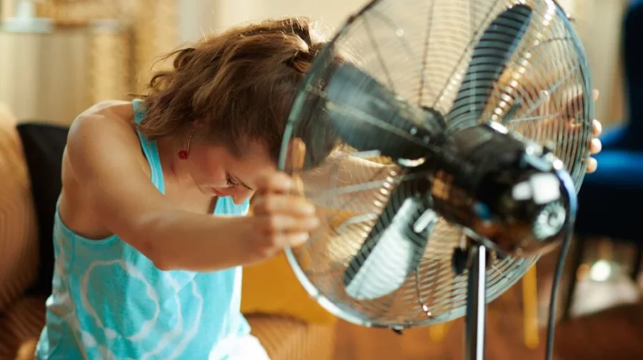 calor calor